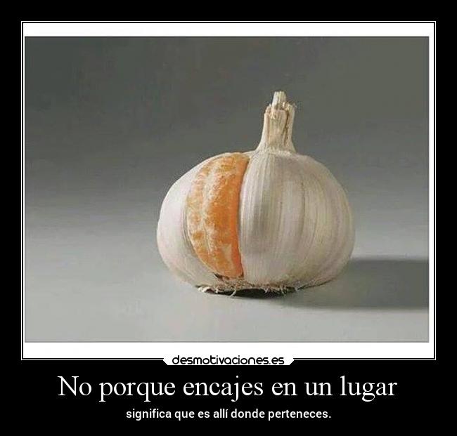 carteles vida encajar desmotivaciones