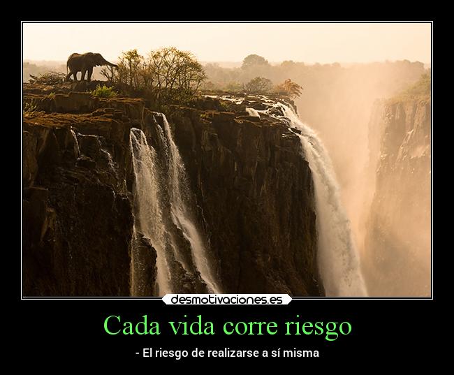 Cada vida corre riesgo - 