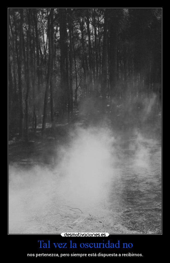 Tal vez la oscuridad no -
