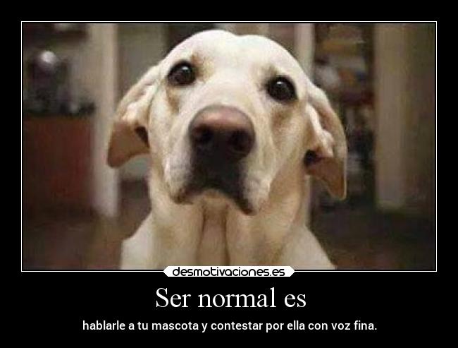 Ser normal es - 