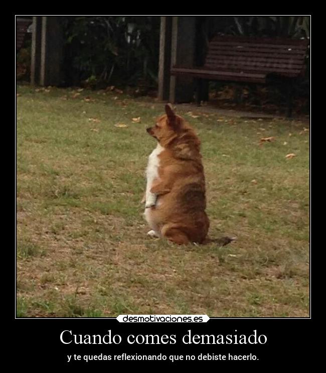 Cuando comes demasiado - y te quedas reflexionando que no debiste hacerlo.