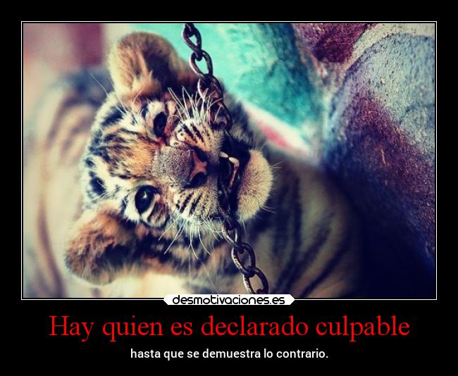 Hay quien es declarado culpable -