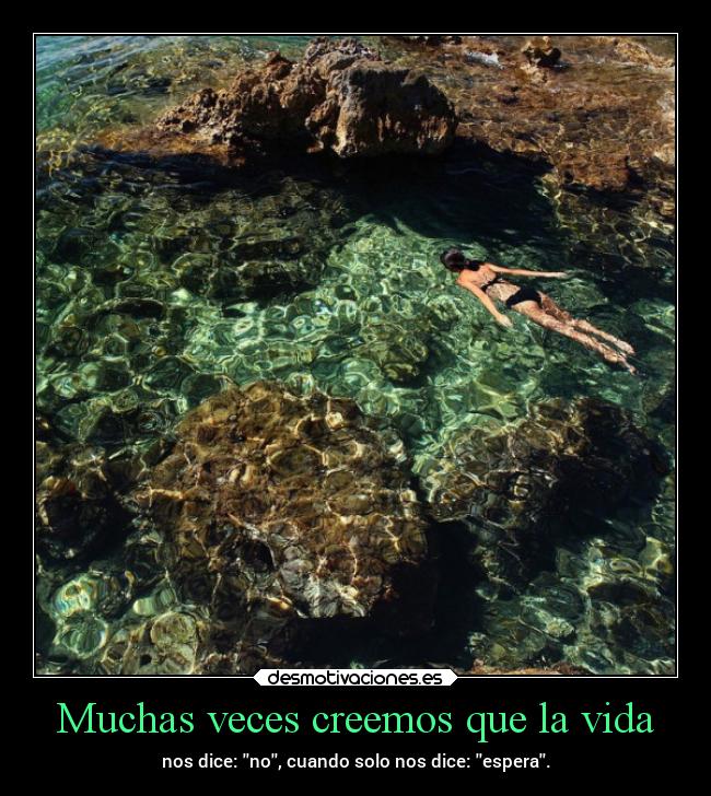 Muchas veces creemos que la vida - 
