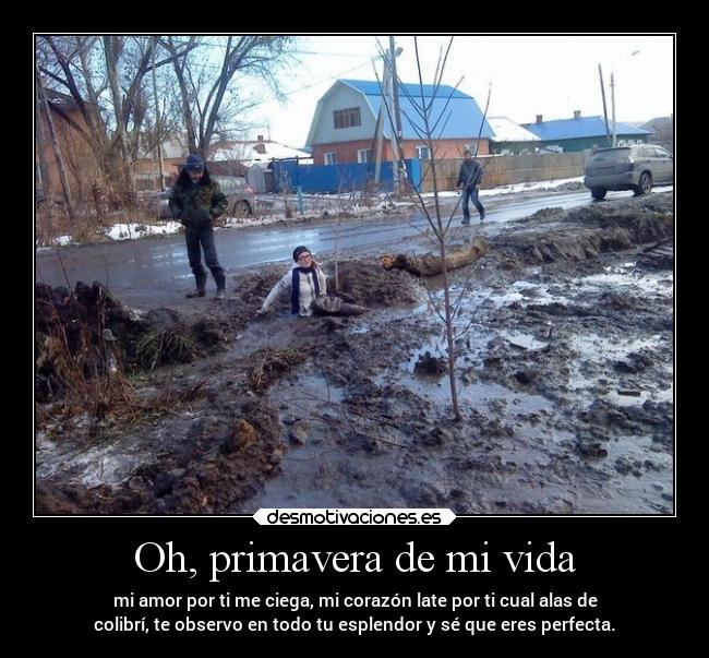 Oh, primavera de mi vida - mi amor por ti me ciega, mi corazón late por ti cual alas de
colibrí, te observo en todo tu esplendor y sé que eres perfecta.