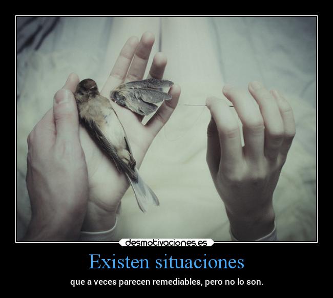 Existen situaciones - que a veces parecen remediables, pero no lo son.