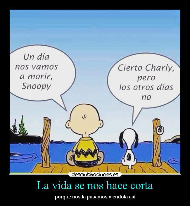 La vida se nos hace corta - porque nos la pasamos viéndola así
