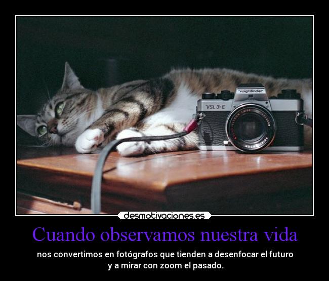 Cuando observamos nuestra vida - nos convertimos en fotógrafos que tienden a desenfocar el futuro
y a mirar con zoom el pasado.