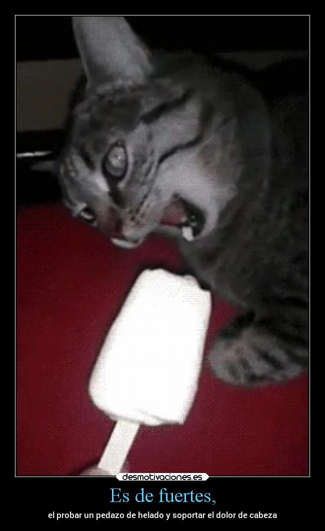 Es de fuertes, - el probar un pedazo de helado y soportar el dolor de cabeza