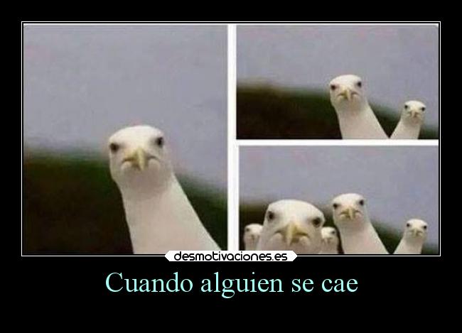 Cuando alguien se cae -