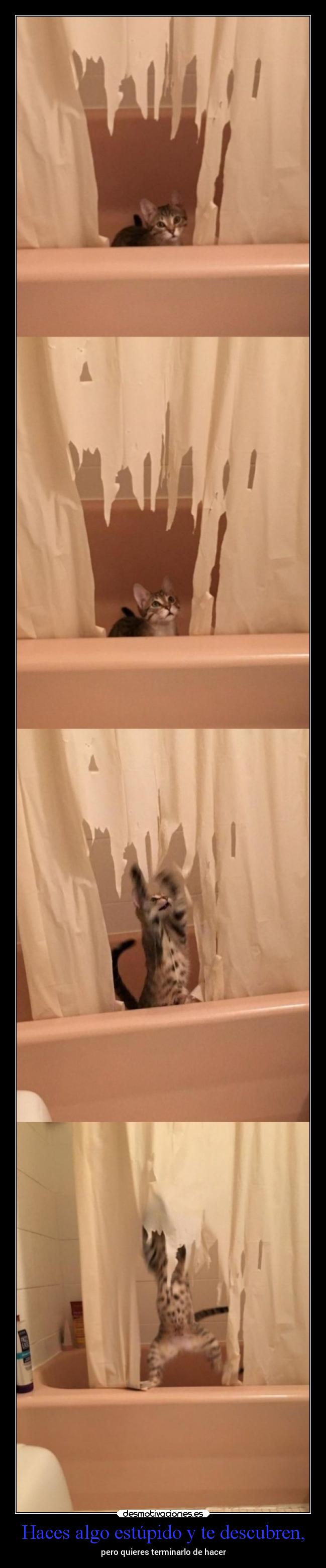 Haces algo estúpido y te descubren, - pero quieres terminarlo de hacer