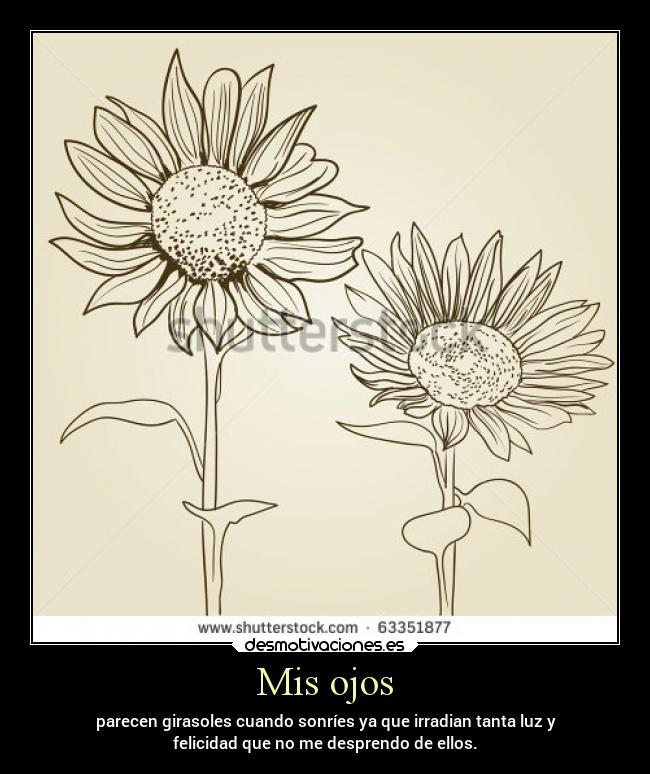 Mis ojos - parecen girasoles cuando sonríes ya que irradian tanta luz y
felicidad que no me desprendo de ellos.