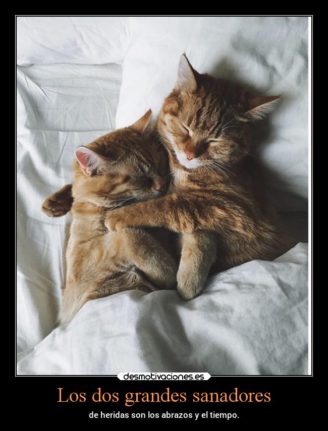 Los dos grandes sanadores - de heridas son los abrazos y el tiempo.