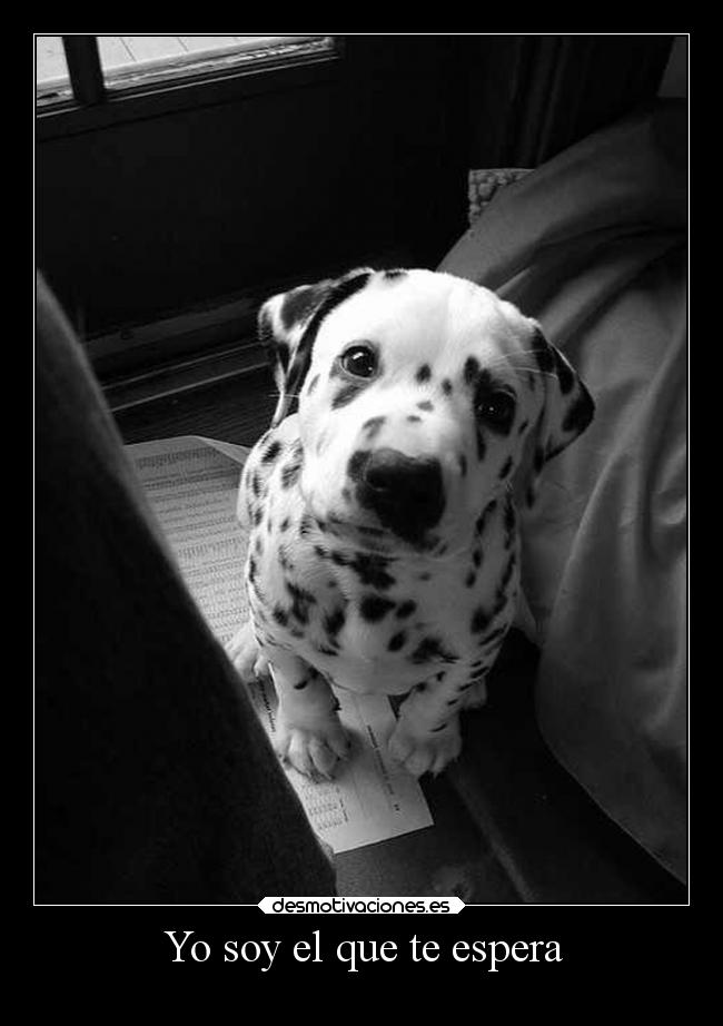 Yo soy el que te espera -