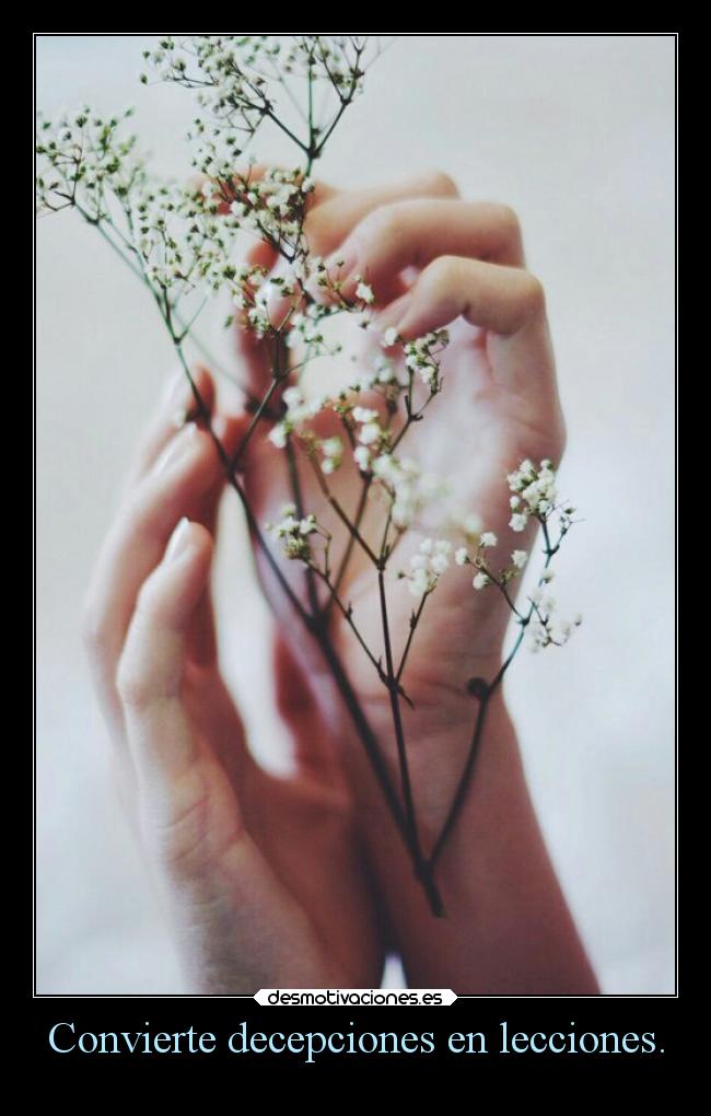 Convierte decepciones en lecciones. - 