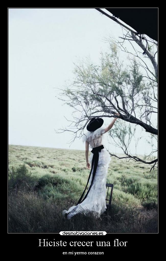 Hiciste crecer una flor - en mi yermo corazon