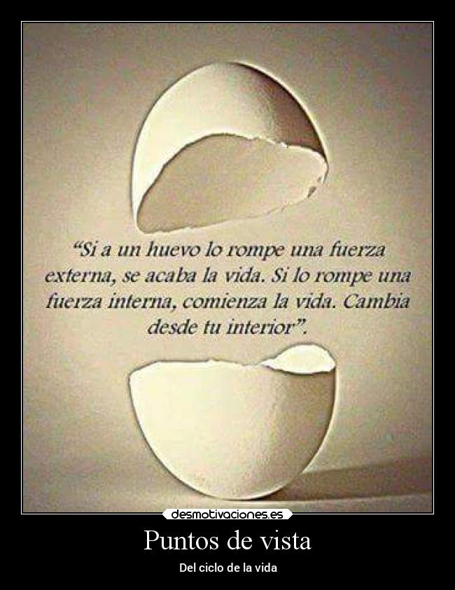 Puntos de vista - Del ciclo de la vida