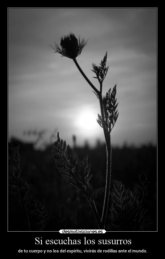 Si escuchas los susurros - de tu cuerpo y no los del espiritu, vivirás de rodillas ante el mundo.