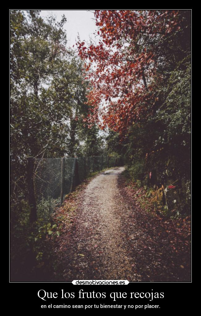 Que los frutos que recojas - en el camino sean por tu bienestar y no por placer.