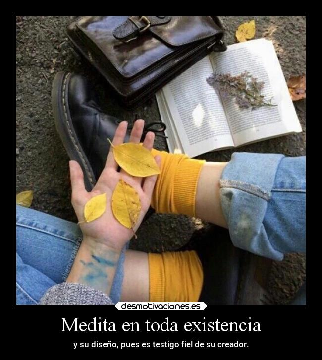 Medita en toda existencia -