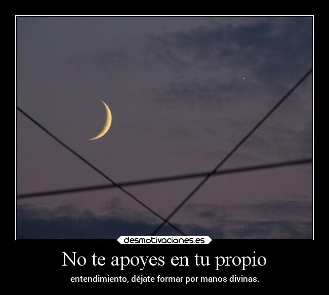No te apoyes en tu propio - 