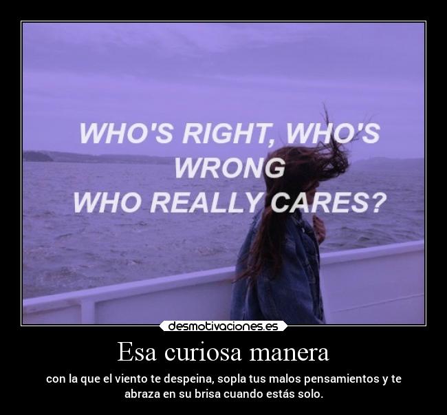 Esa curiosa manera - con la que el viento te despeina, sopla tus malos pensamientos y te
abraza en su brisa cuando estás solo.