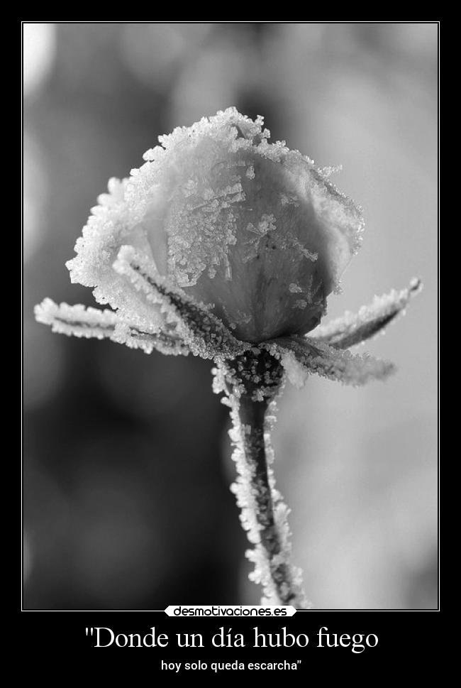 Donde un día hubo fuego - hoy solo queda escarcha