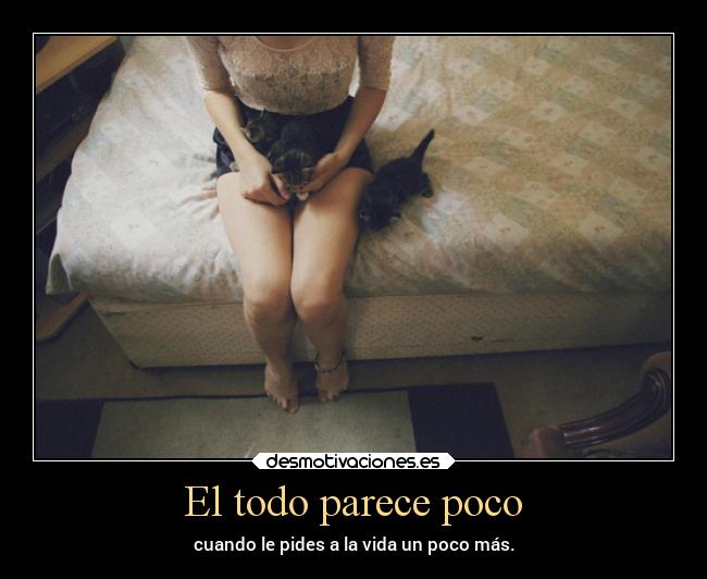 El todo parece poco -