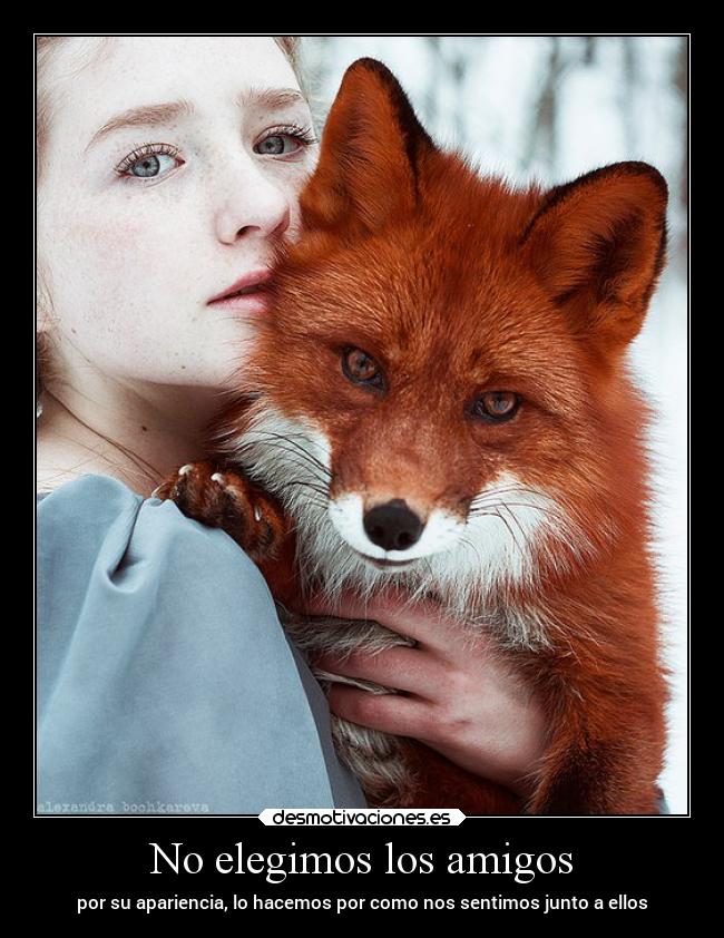 No elegimos los amigos -