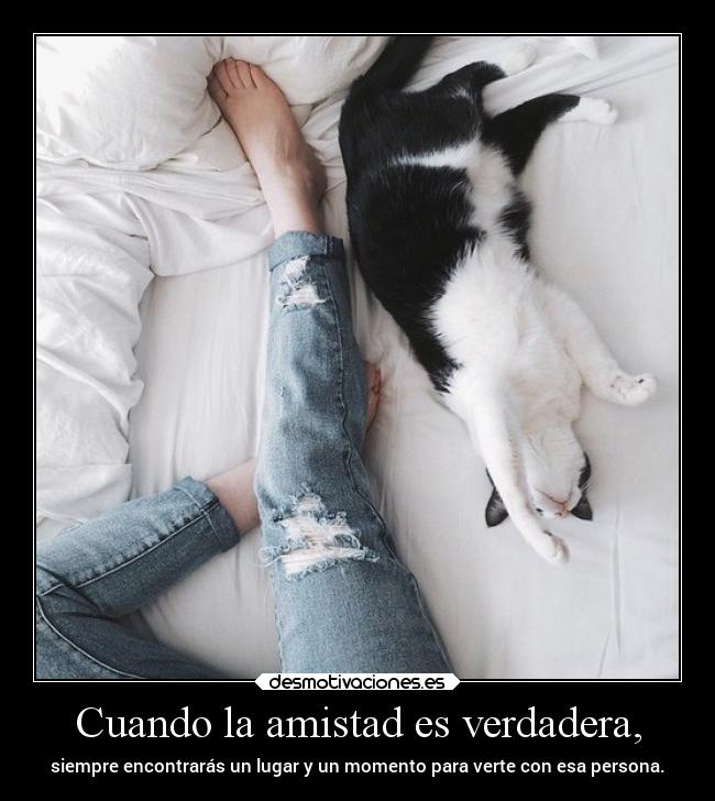 Cuando la amistad es verdadera, -