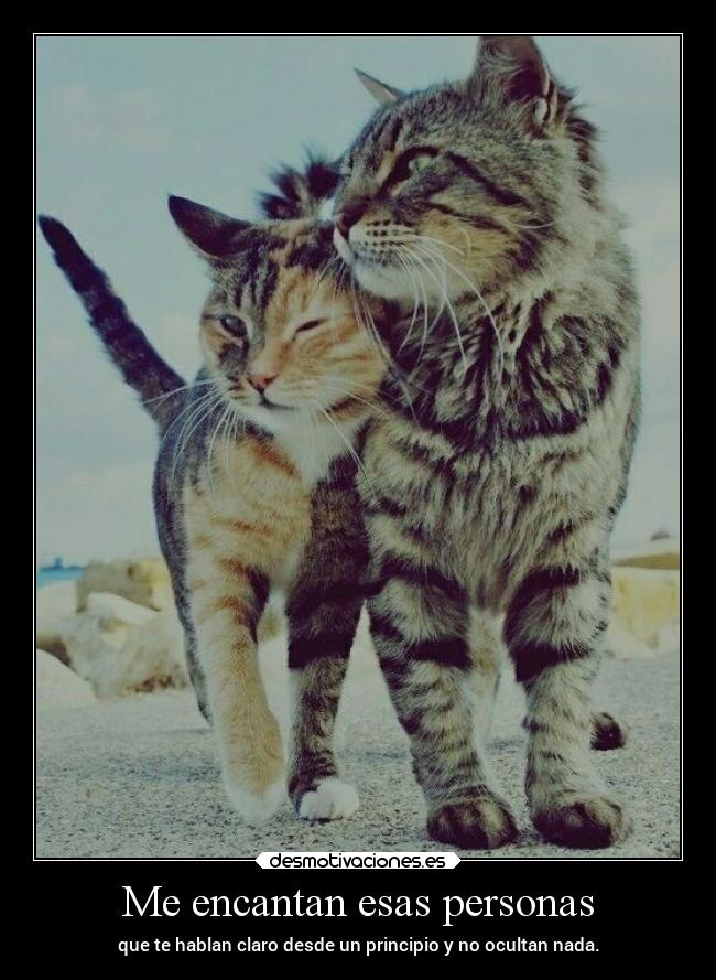 Me encantan esas personas - que te hablan claro desde un principio y no ocultan nada.