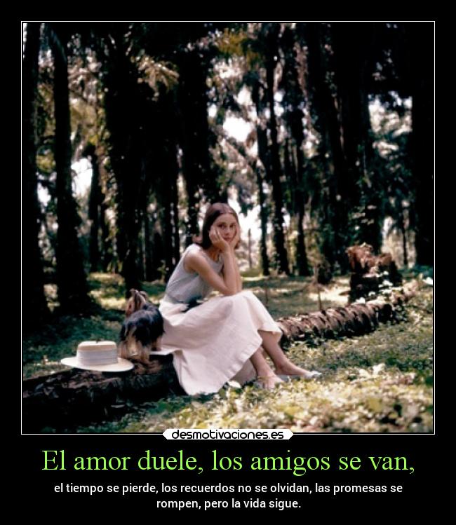 El amor duele, los amigos se van, - 