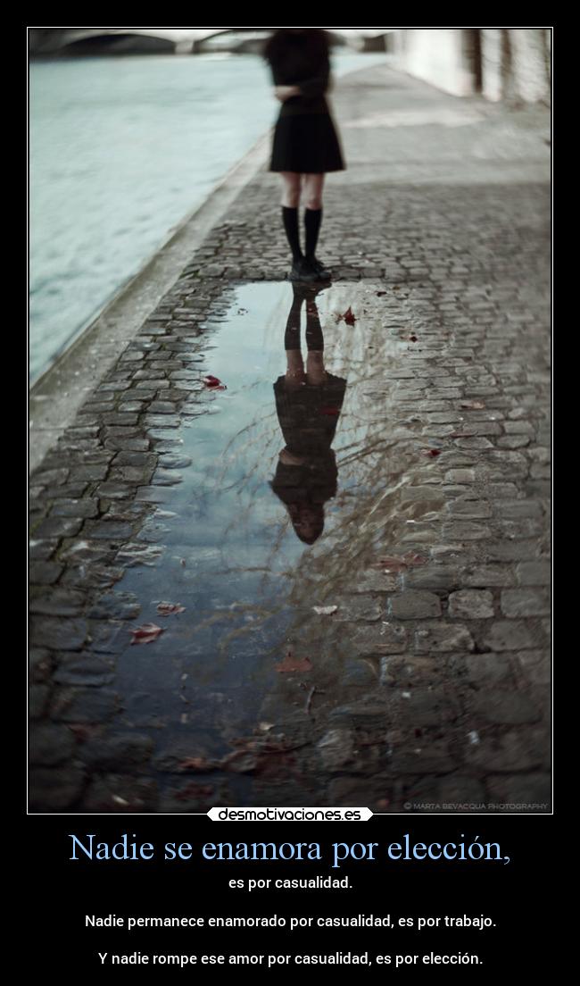 Nadie se enamora por elección, -