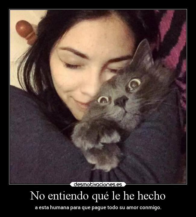 No entiendo qué le he hecho - a esta humana para que pague todo su amor conmigo.