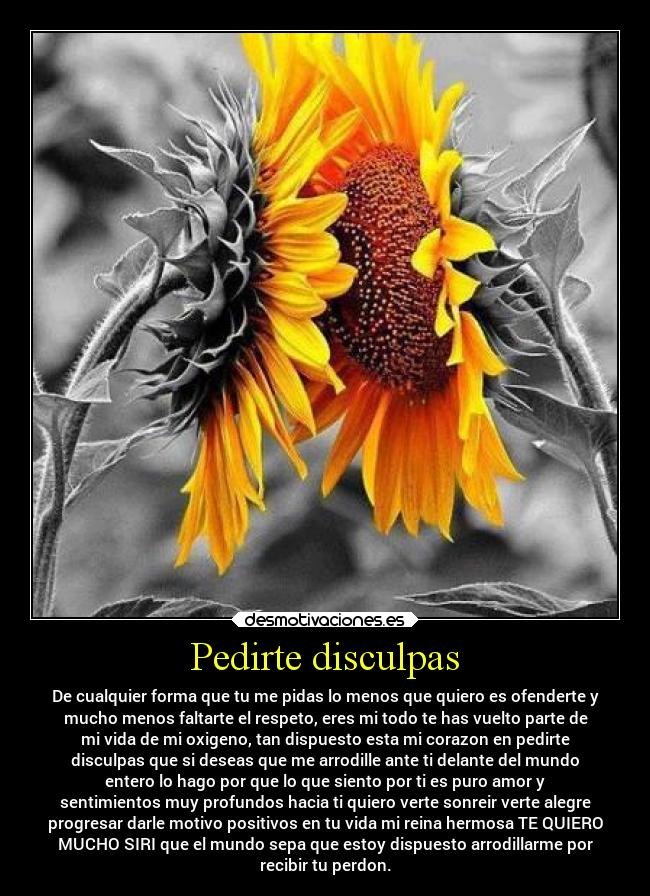 Pedirte disculpas - De cualquier forma que tu me pidas lo menos que quiero es ofenderte y
mucho menos faltarte el respeto, eres mi todo te has vuelto parte de
mi vida de mi oxigeno, tan dispuesto esta mi corazon en pedirte
disculpas que si deseas que me arrodille ante ti delante del mundo
entero lo hago por que lo que siento por ti es puro amor y
sentimientos muy profundos hacia ti quiero verte sonreir verte alegre
progresar darle motivo positivos en tu vida mi reina hermosa TE QUIERO
MUCHO SIRI que el mundo sepa que estoy dispuesto arrodillarme por
recibir tu perdon.