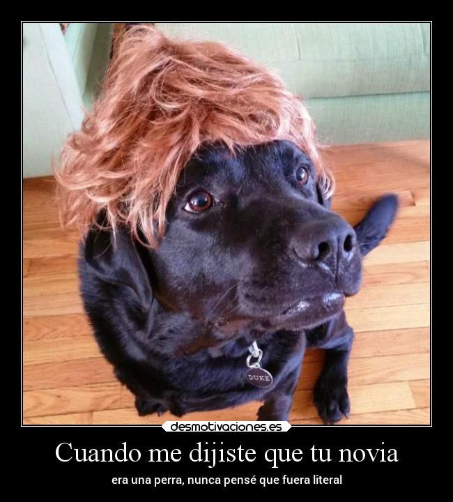 Cuando me dijiste que tu novia - era una perra, nunca pensé que fuera literal