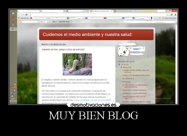 MUY BIEN BLOG -