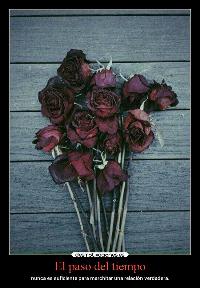 El paso del tiempo -