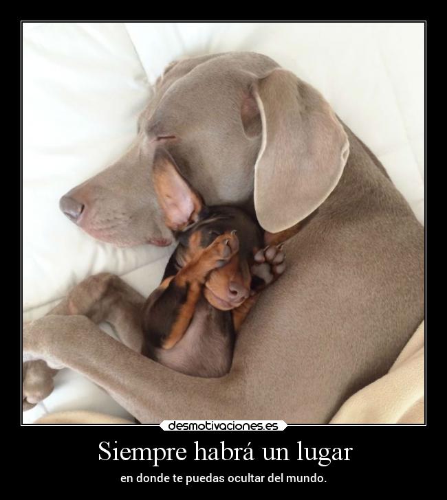 Siempre habrá un lugar - en donde te puedas ocultar del mundo.