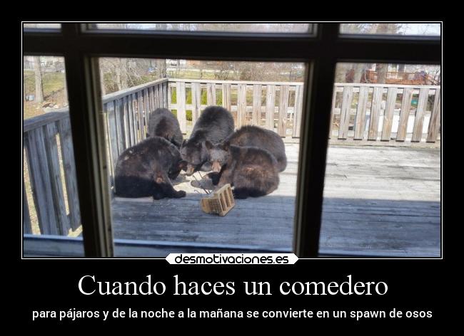 Cuando haces un comedero - para pájaros y de la noche a la mañana se convierte en un spawn de osos