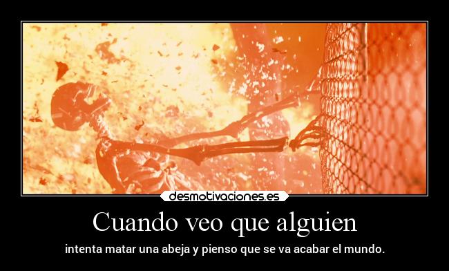 Cuando veo que alguien - intenta matar una abeja y pienso que se va acabar el mundo.