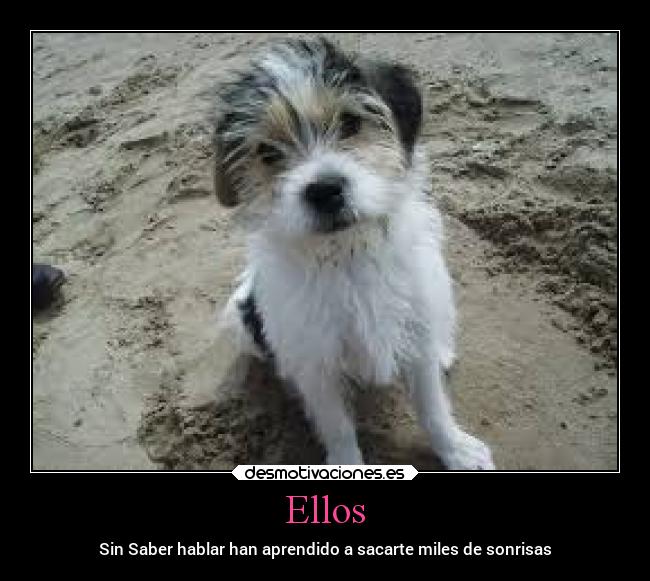 Ellos - Sin Saber hablar han aprendido a sacarte miles de sonrisas