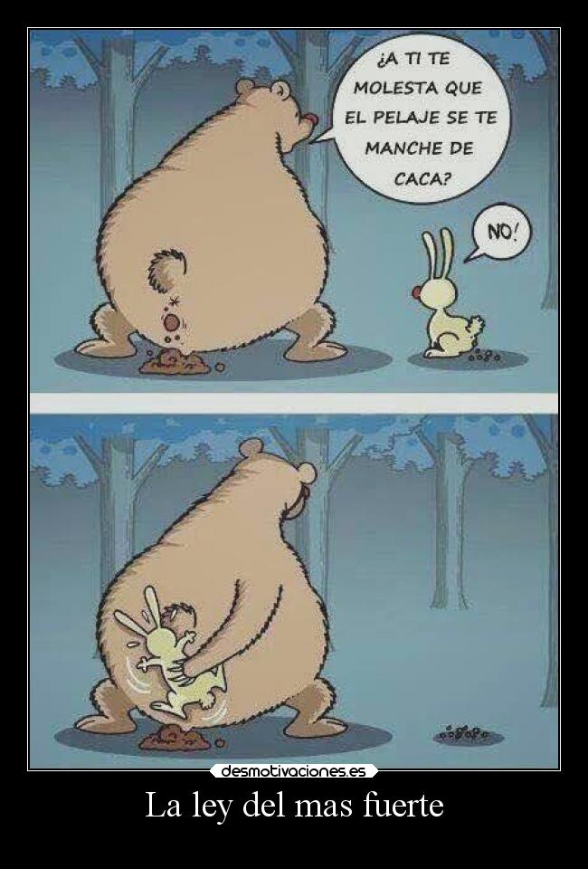 carteles animales desmotivaciones