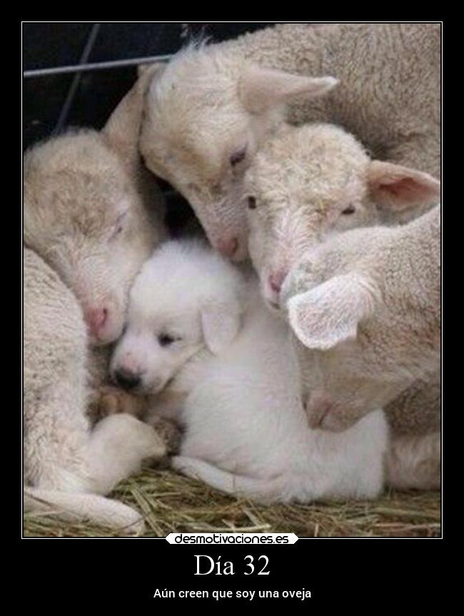 Día 32 -