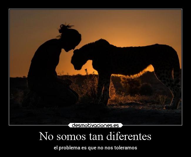 carteles animales vida sentimientos naturaleza desmotivaciones