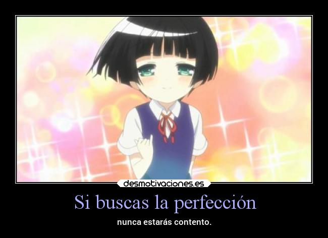 Si buscas la perfección - nunca estarás contento.