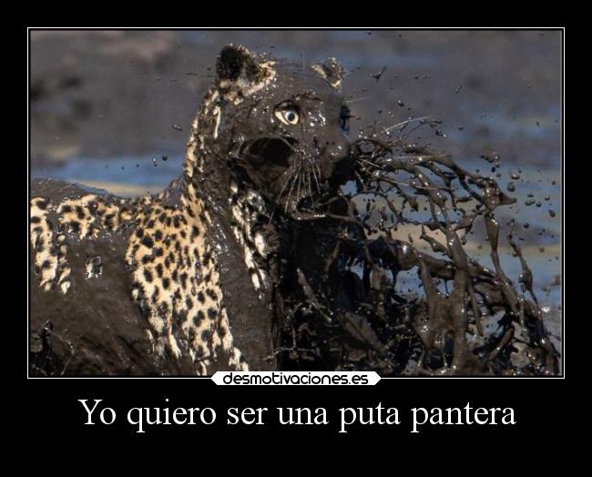 Yo quiero ser una puta pantera - 