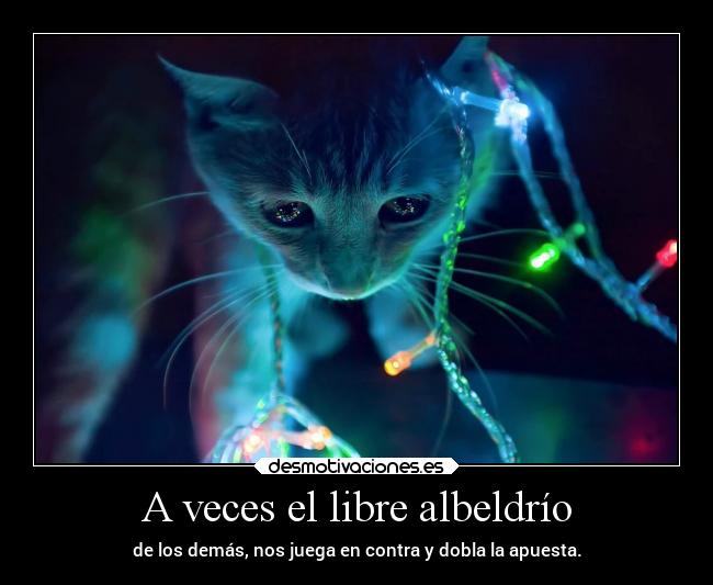 carteles ausencia familia decisiones gtka gatitos desmotivaciones