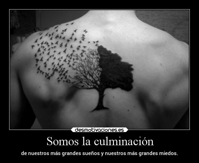 Somos la culminación -