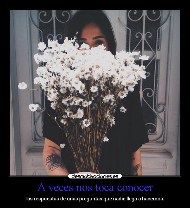 A veces nos toca conocer - las respuestas de unas preguntas que nadie llega a hacernos.