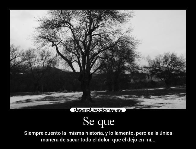 Se que - Siempre cuento la misma historia, y lo lamento, pero es la única
manera de sacar todo el dolor que él dejo en mí...